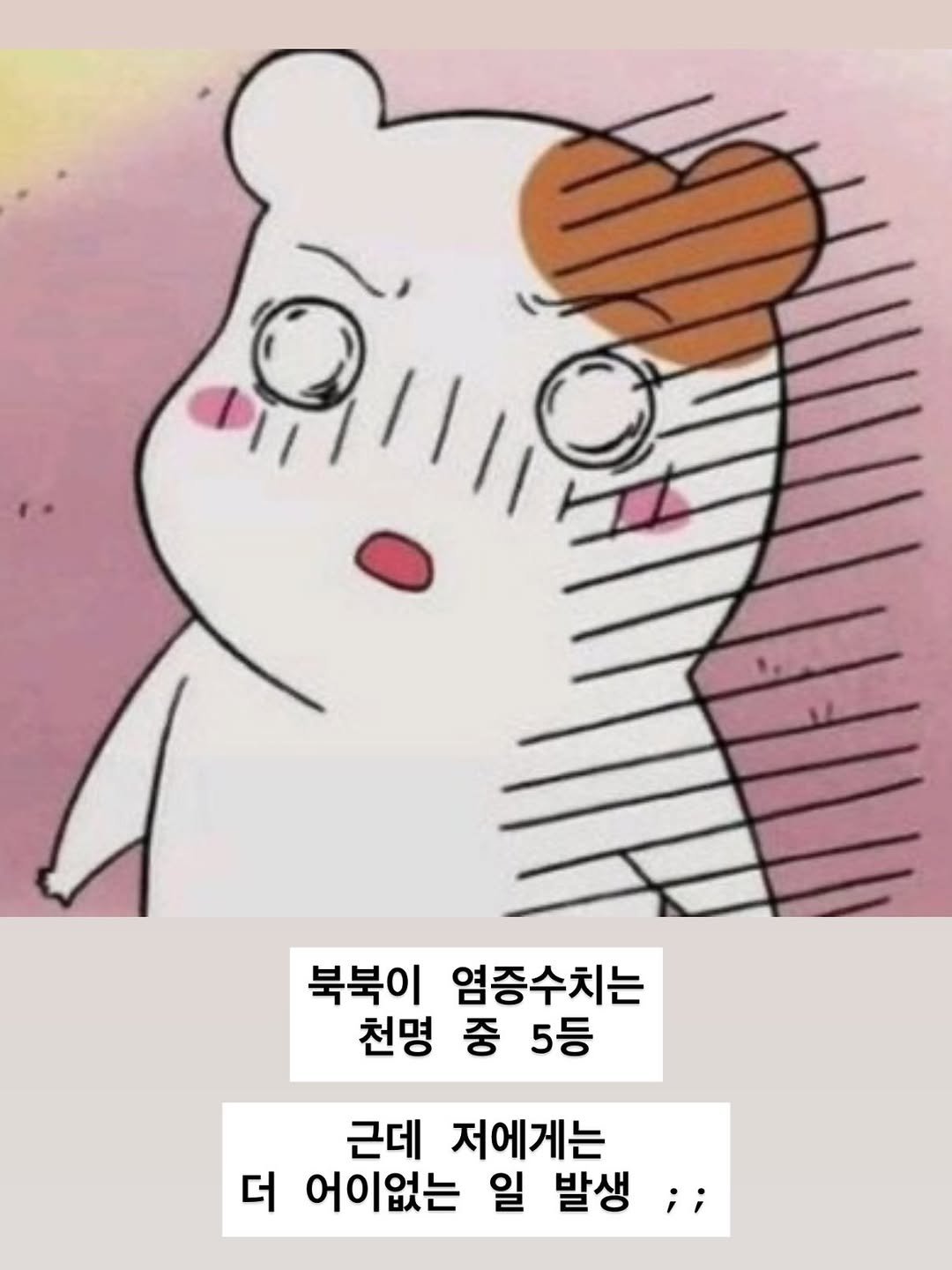 dada_sora_ 게시물 이미지: D-1 정독하시고 꼭 하트 달아주세요 ❤️
[일요일밤 깜짝...