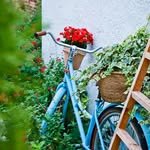 haeilyang 프로필 사진