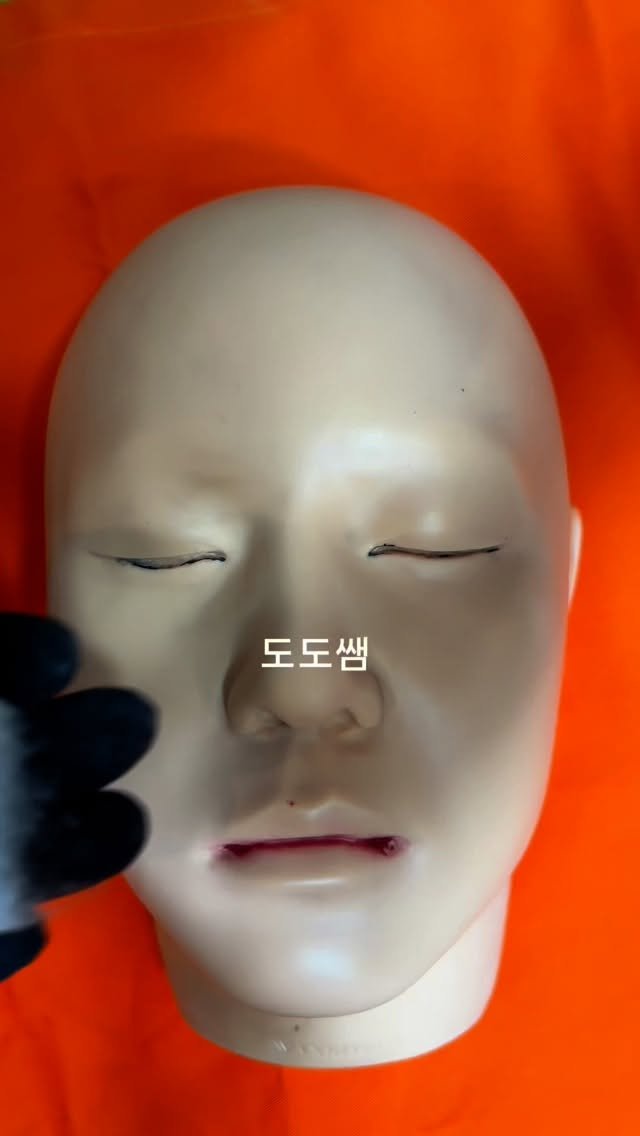 daegu_dodo 게시물 이미지: #메이크업 마네킹,입술안쪽,
눈안쪽 지우는방법 #도도쌤

✱ 도도쌤과 함께 하는 
...