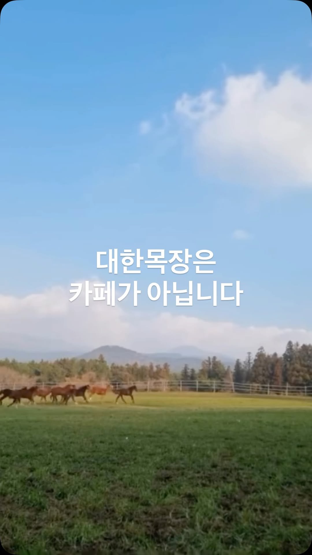 daehannmokjang 게시물 이미지: 🐴대한목장을 소개합니다