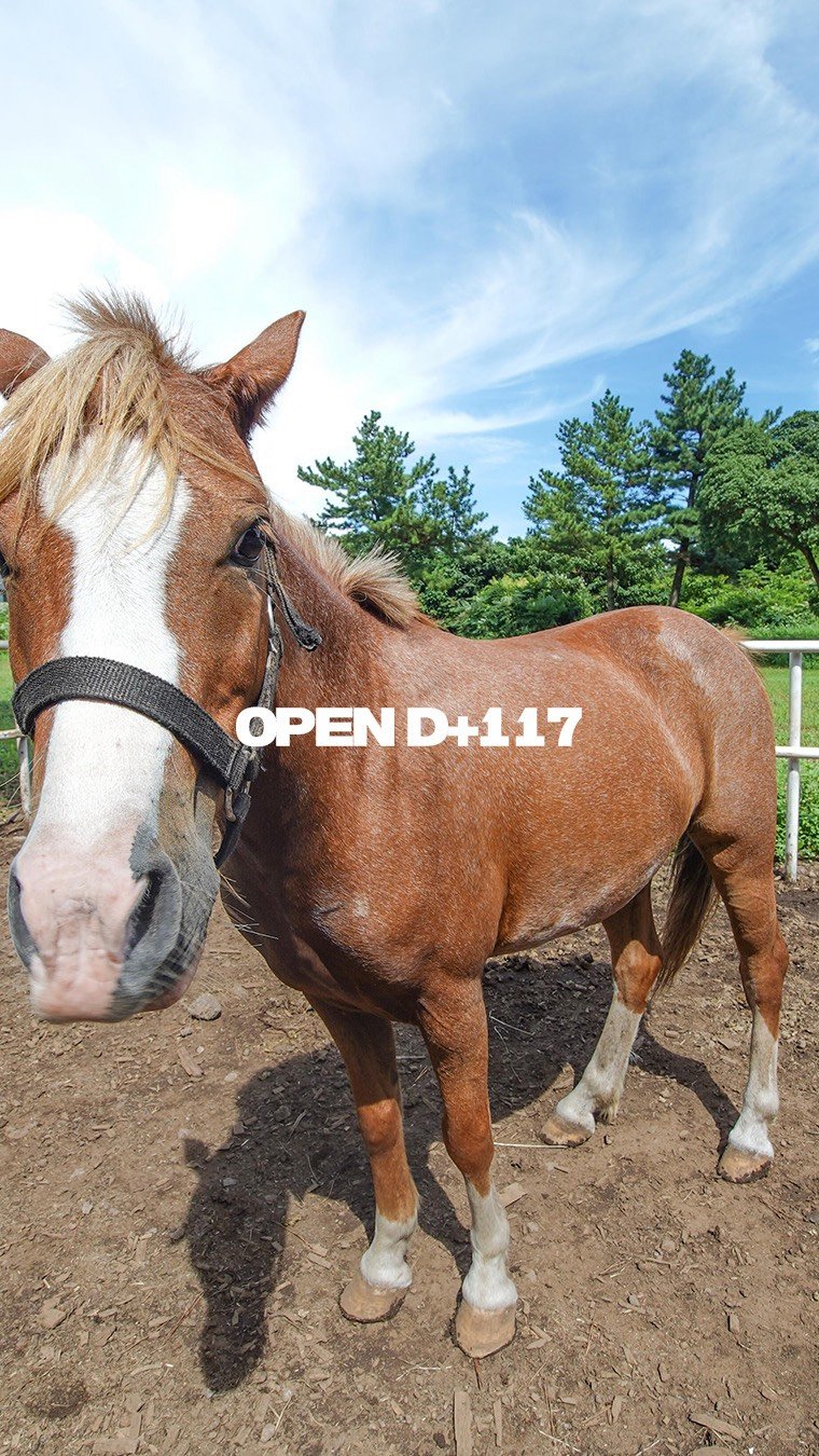 daehannmokjang 게시물 이미지: 매일 목장으로 출근하는 삶은 어떠냐고 물어본다면……………..

대한목장 X 물씬...