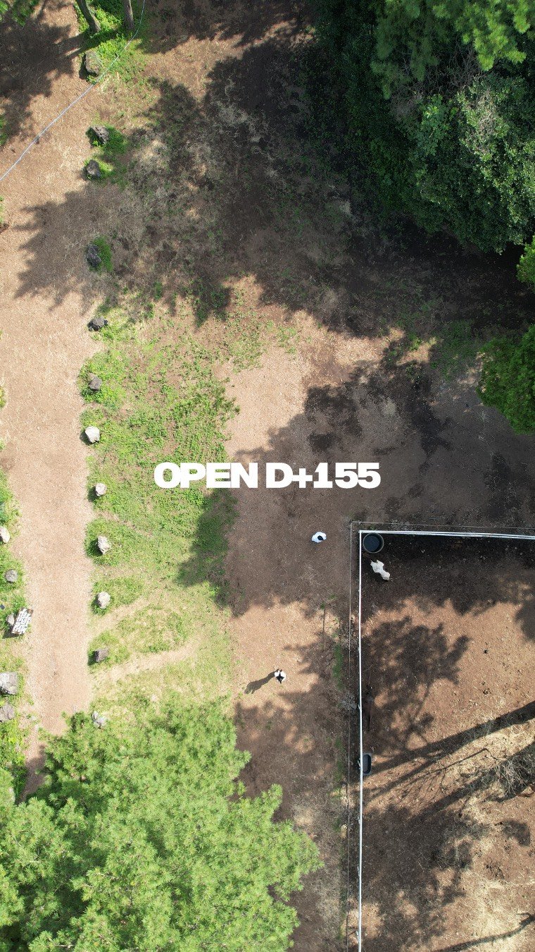 daehannmokjang 게시물 이미지: 오늘은 대한목장의 말들을 한 번 소개시켜드리겠습니다!