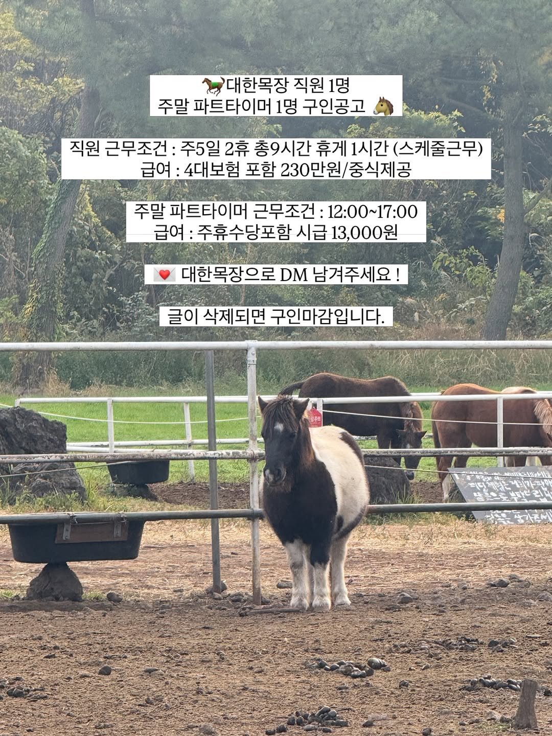 daehannmokjang 게시물 이미지: 많은 관심과 지원 감사합니다!
채용 마무리 되었습니다🐴🥕