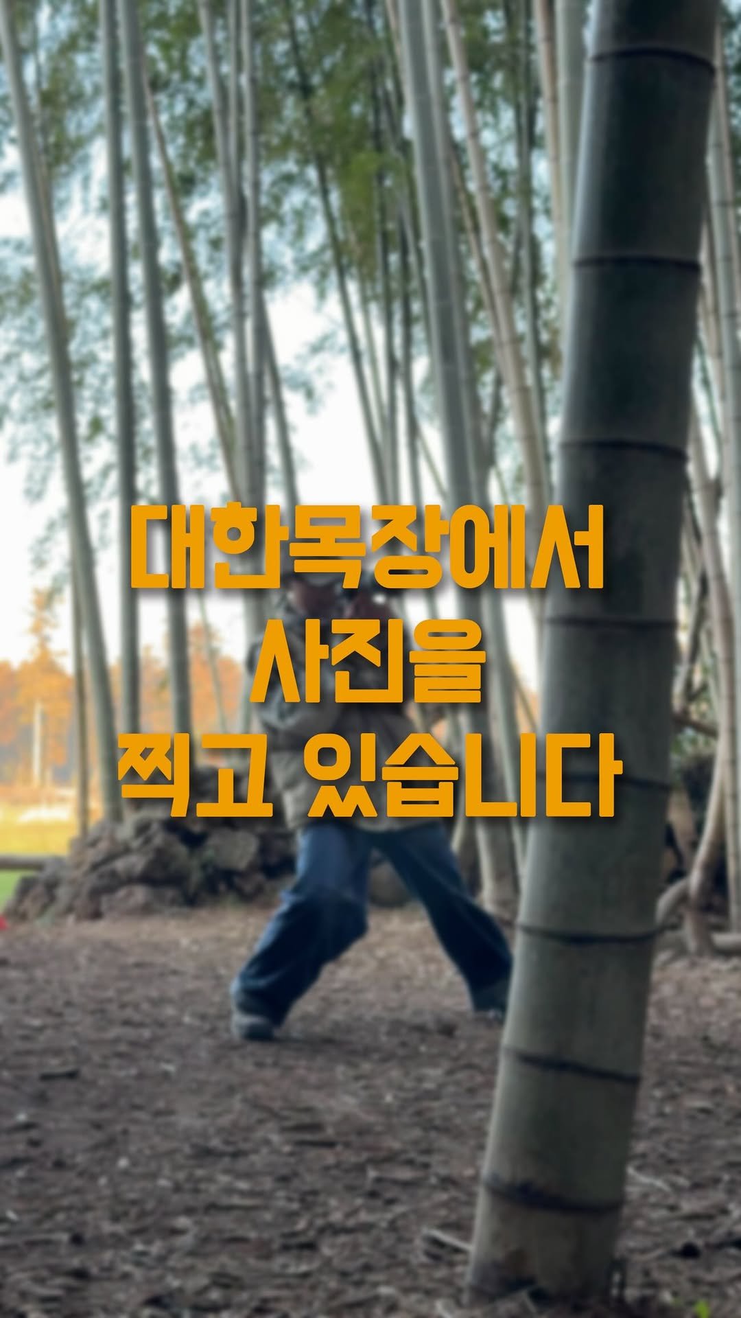 daehannmokjang 게시물 이미지: 안녕하세요 대한목장에서 스냅촬영을 하고 있습니다
대한목장에서 여행의 기록을 넘어...