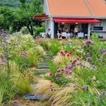 cafe_tol 프로필 사진