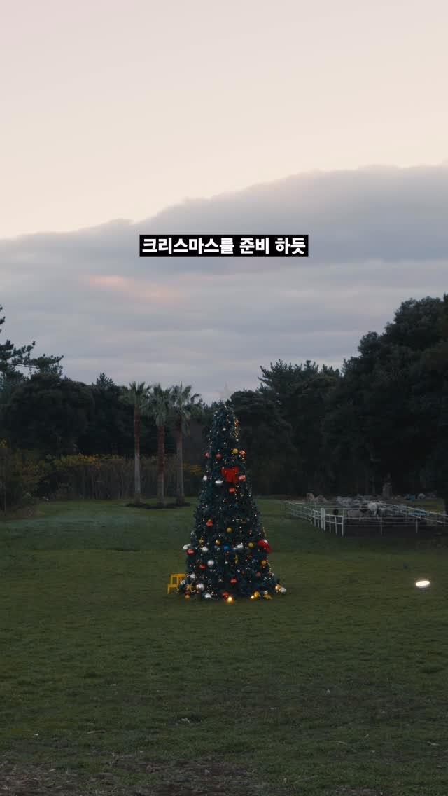 daehannmokjang 게시물 이미지: 🚫 수정합니다!!!!🚫
12월 7일 ❌ 12월 8일 ⭕️
대한목장 X 잔치공동체...