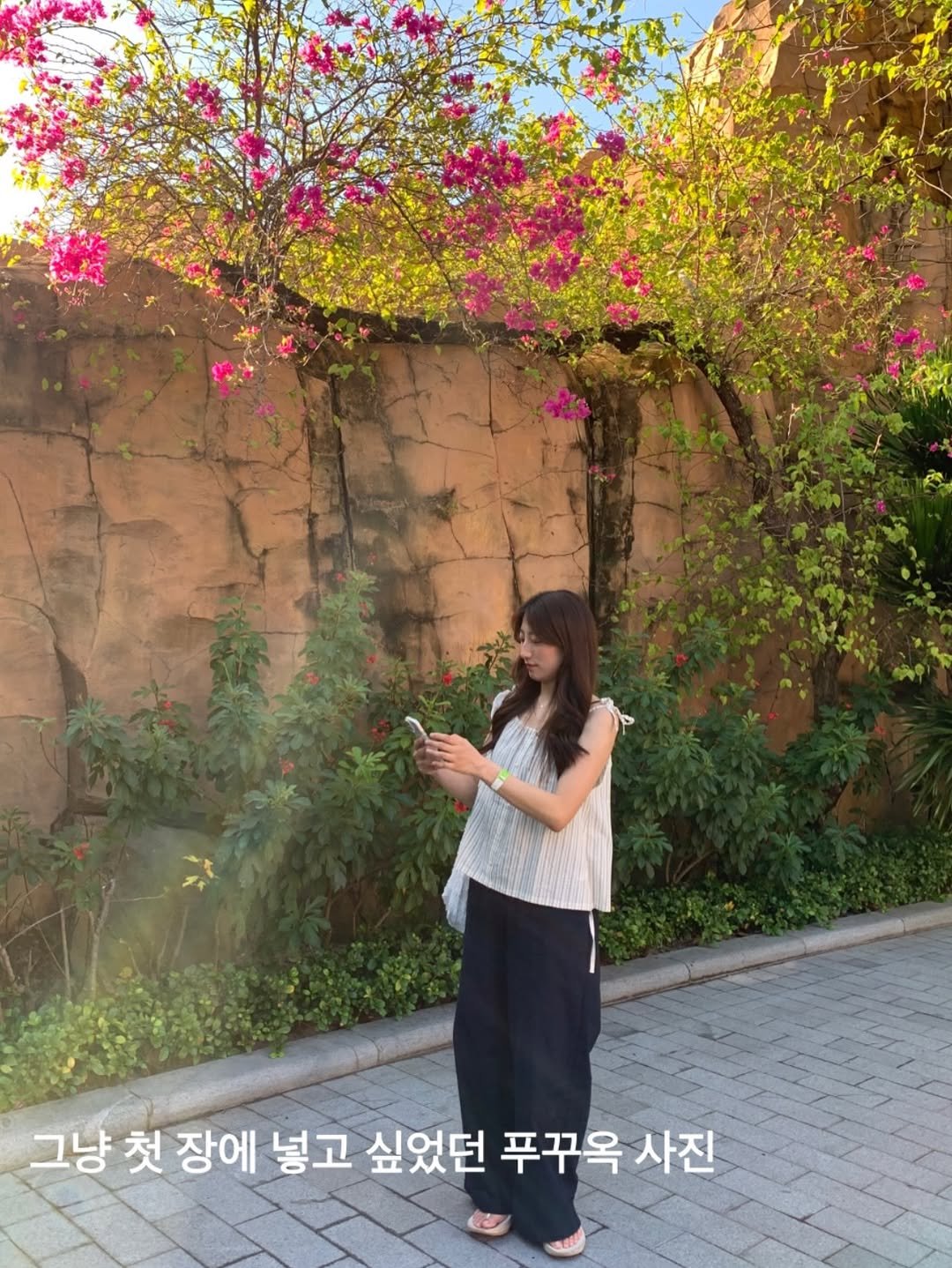 Photo by 고미 데일리룩 on February 02, 2026. May be an image of baby's-breath, Gyeongbokgung Palace, outdoors and text that says '그냥 첫 장에 넣고 싶었던 푸꾸옥 사진'.