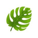 plantsandgardeningideas 프로필 사진