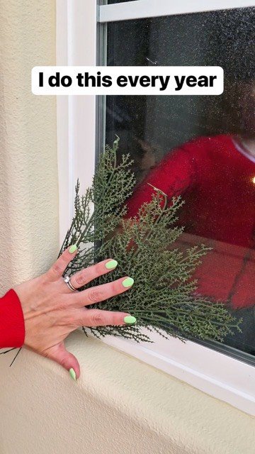 dailyoriginalvids 게시물 이미지: Diy window decor for Christmas...