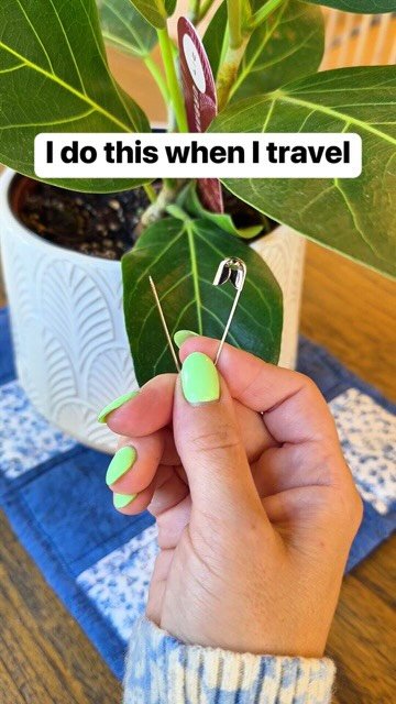 dailyoriginalvids 게시물 이미지: Easy way to water plants when you’re out of...