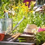 home_gardening86 프로필 사진