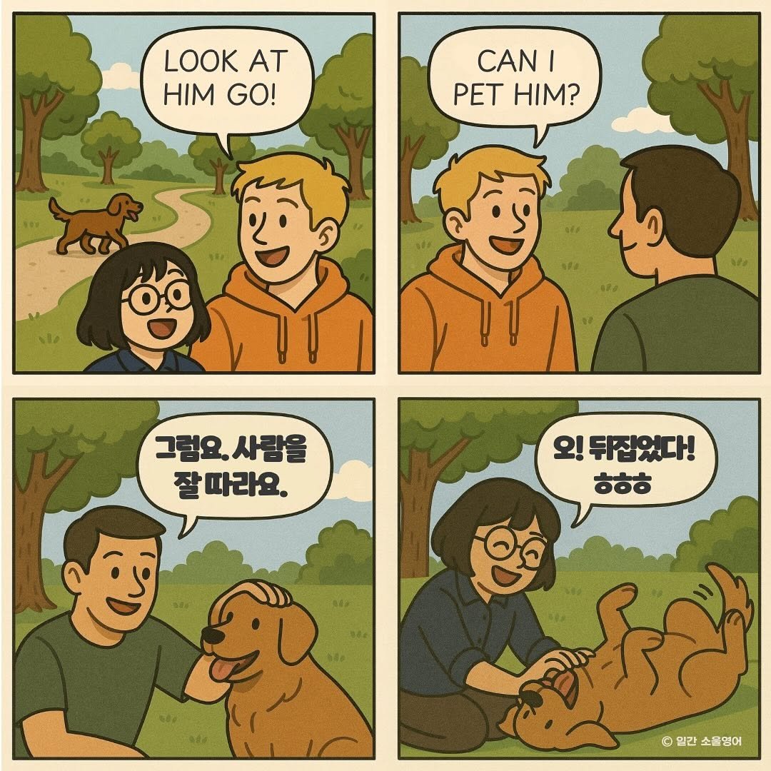 Photo by 일간소울영어 on May 27, 2025. May be a cartoon of golden retriever.
