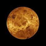 venus_kitchen_ 프로필 사진