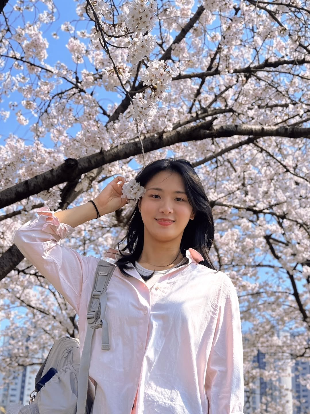 daisy._33 게시물 이미지: 🌸🌸🌸
오전부터 공부하고 벚꽃도 보고! 
벚꽃 구경 잘~ 했다!

벚꽃 구경 지금이에요!!