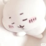 dearwonii_ 프로필 사진