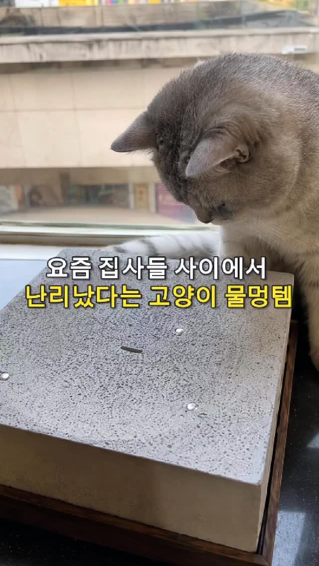 daitchu_select 게시물 이미지: 댓글에 '물멍' 남겨주세요.
팔로우 해주셔야 DM이 오류 없이 발송됩니다.

✅...