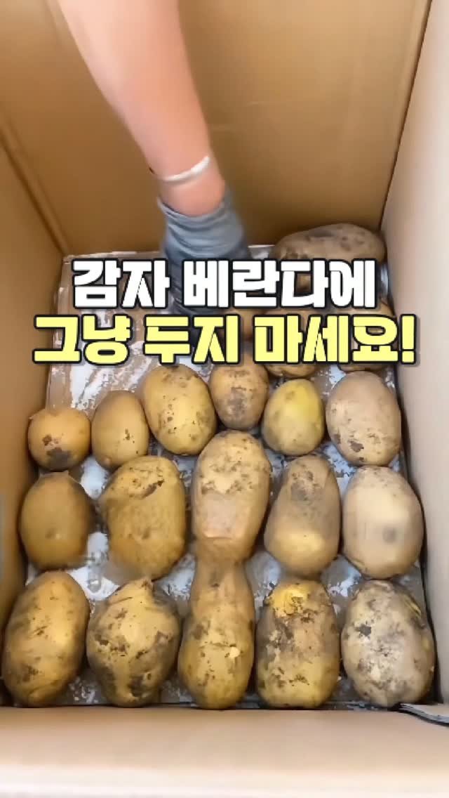 daitchu_select 게시물 이미지: 🥔 감자, 베란다에 그냥 두고 계신가요?

많은 분들이 감자를 사 오면
베란다에...