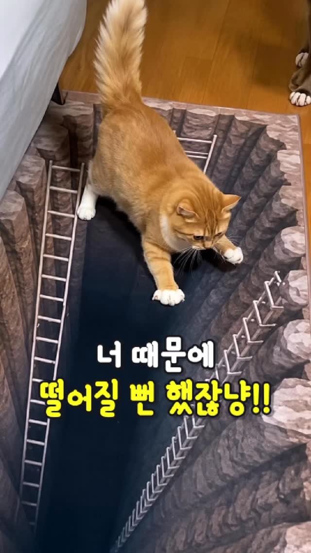 daitchu_select 게시물 이미지: 댓글에 '매트' 남겨주세요.
팔로우 해주셔야 DM이 오류 없이 발송됩니다....