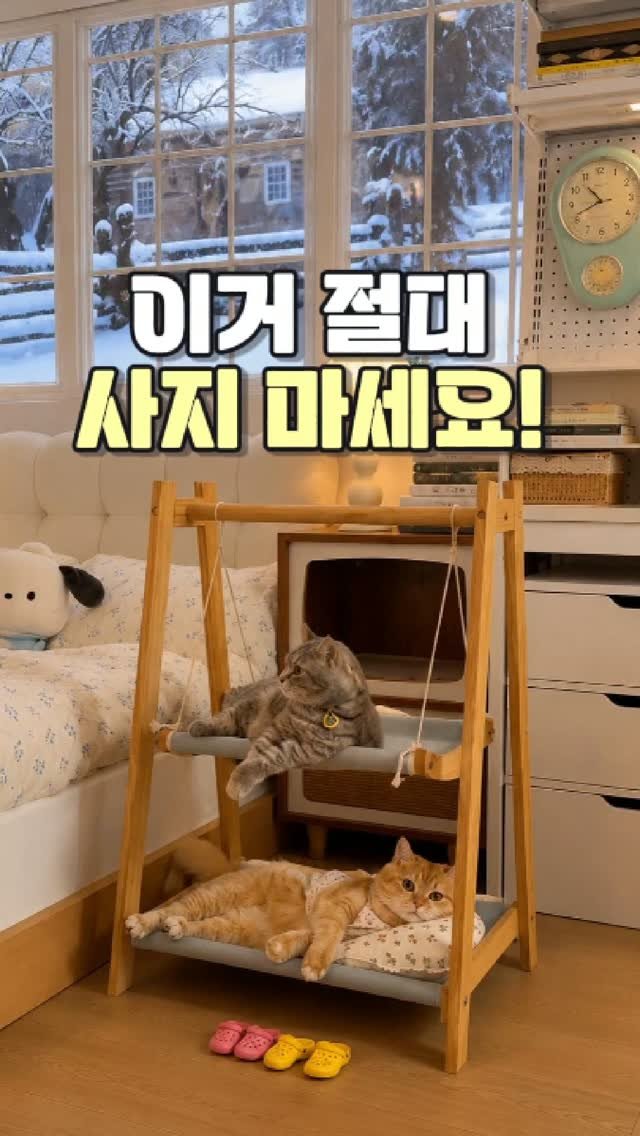 daitchu_select 게시물 이미지: 🐱 고양이 침대는 사줘도 안 쓸까 봐 고민했어요.

그런데 이건 설치하자마자
둘 다...