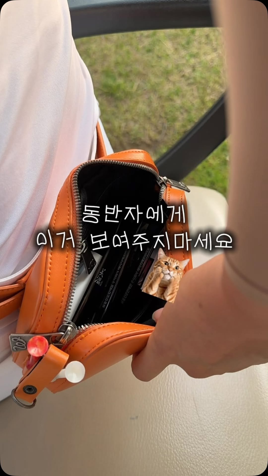 dajoy_golf 게시물 이미지: ⛳️ 이거 보지 마세요🙈
골프 갈 때 은근 챙기고 싶어지는 간식이에요✨

가방...