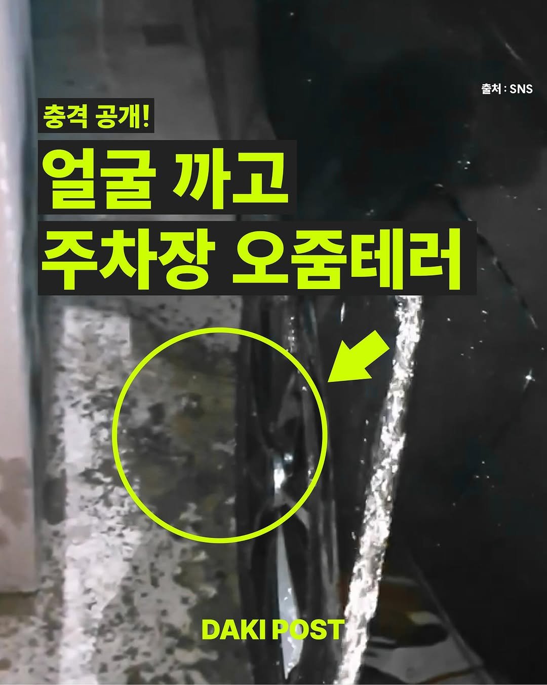 Photo by 다키포스트 on September 23, 2025. May be an image of Groenendael and text that says '출처: 출처:SNS SNS 총격공개! 충격 공개! 얼굴 얼굴까고 까고 주차장 오줌테러 DAKI DAKIPOST POST'.