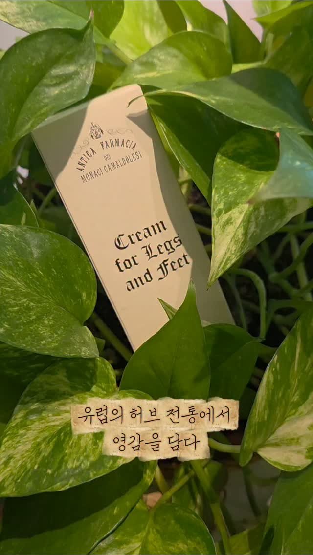 daldal_sunju0225 게시물 이미지: 🌿뉴스타×까말돌리🌿 #협찬

하루 종일 나를 버텨준 발과 
종아리에도 작은 휴식이...