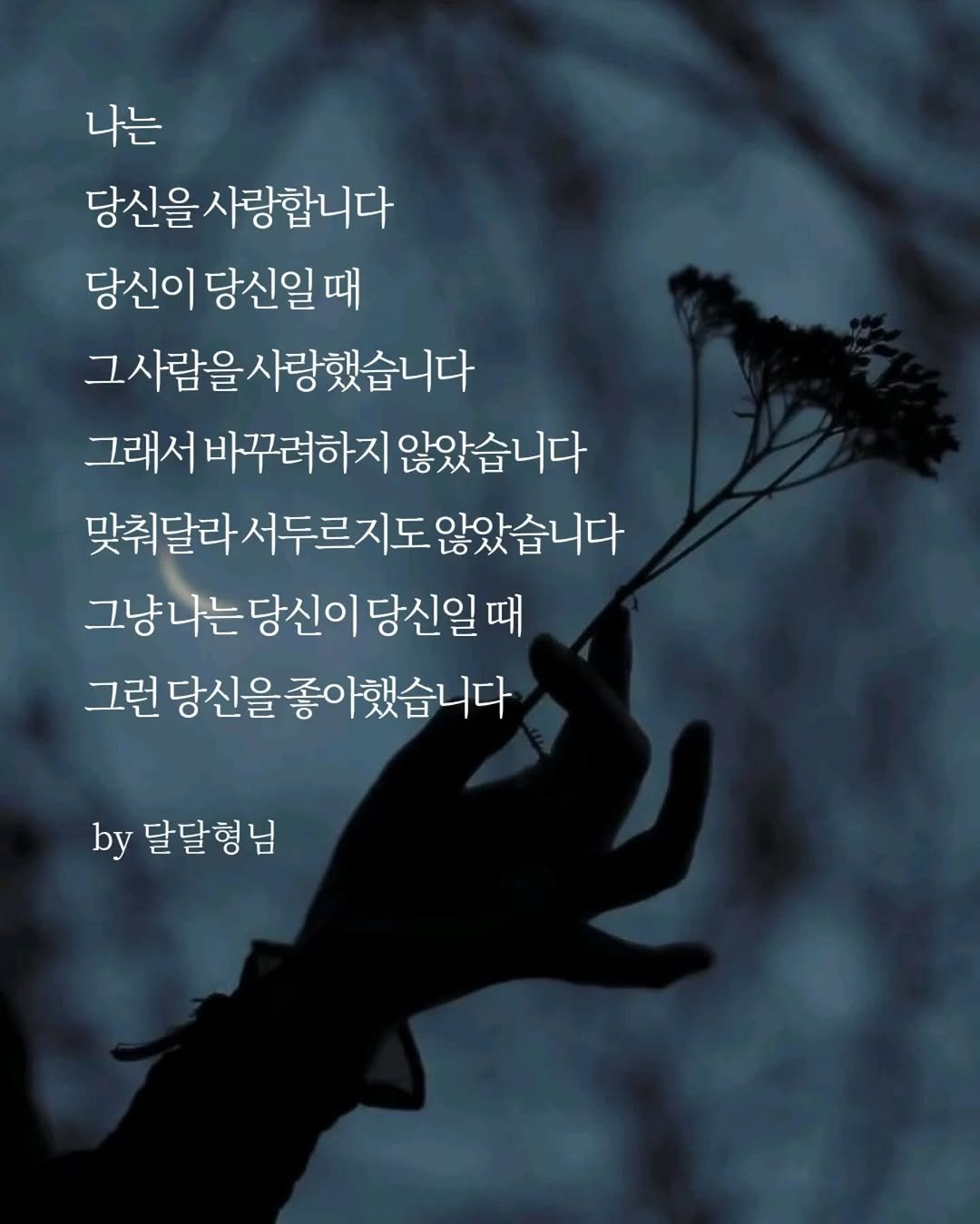 Photo by 장근필 on February 18, 2026. May be an image of text that says '나는 당신을 사랑합니다 당신이 당신일 때 그사람을 그사 사람을사랑했습니다 그래서 바꾸려하지 않았습니다 맞춰달라 서두르지도 맞춰달라서두르지도 라서두르지도않았습니다 않았습니다 그냥나는당신이당신일때 당신이 당신일 때 그런 당신을 참신을좋아했습니다 아했습니다 by 달달형님'.