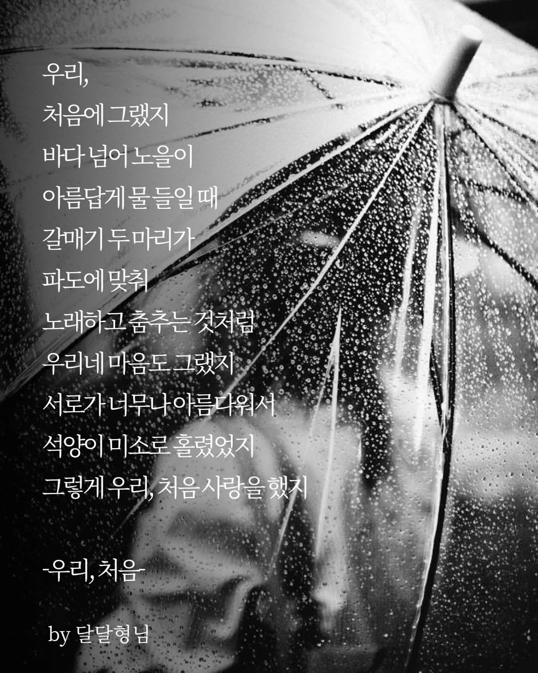 Photo by 달달형님 on April 27, 2026. May be an image of umbrella and text that says '우리, 처음에 그랬지 바다 넘어 바다넘어노을이 노을이 아름답게 물 아름답게물들일때 들일마 갈매기 두마리가 파도에 맞춰 노래하고춤추는것처럼 우리네 마음도 우리네마음도그랬지 그랬지 서로가너무나아름다워서 석양이 미소로 홀렸었지 그렇게 우리, 처음사랑을했지 했지 우리, 우리,처음 처음 by 달달형님 님'.