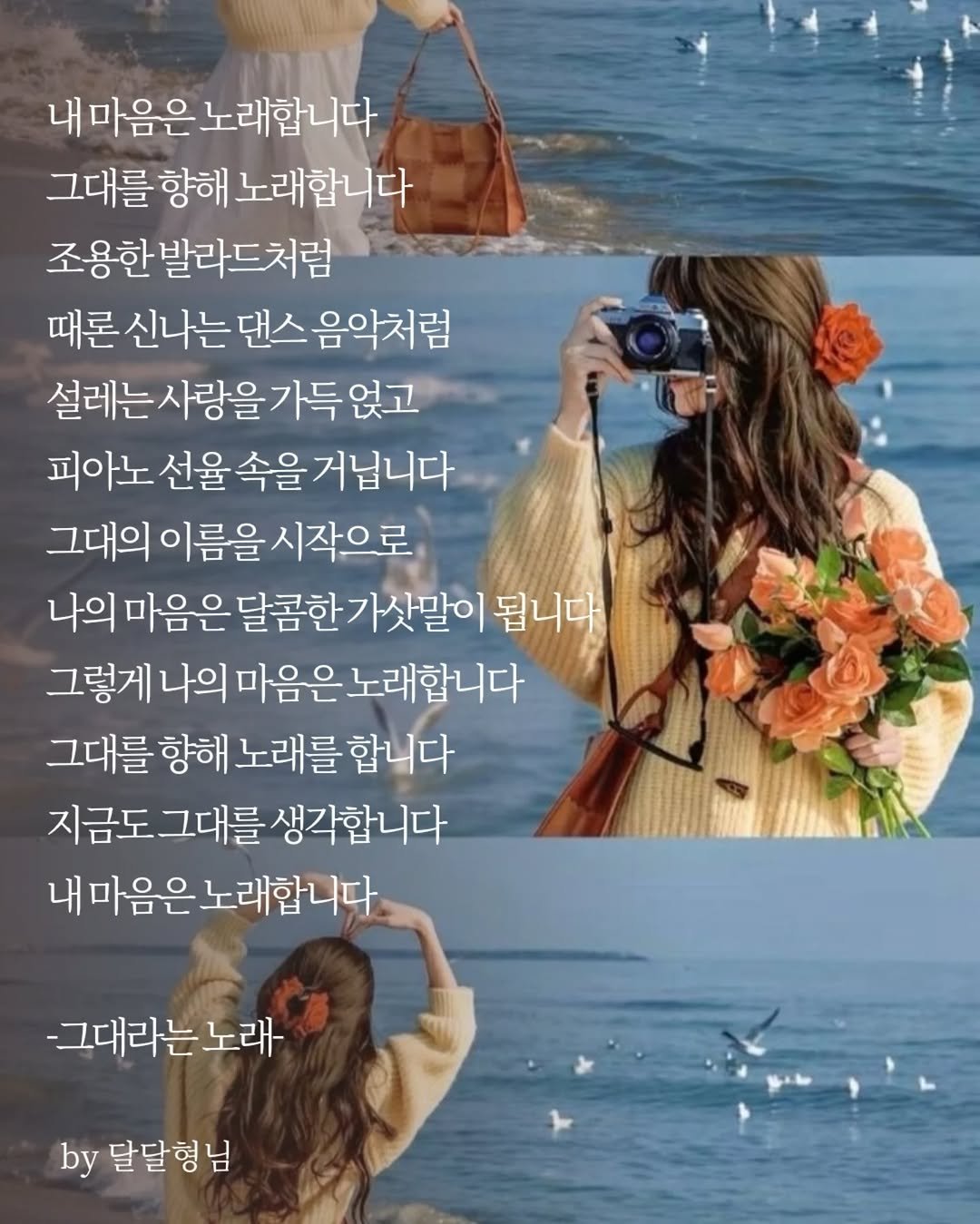 Photo by 장근필 on November 04, 2025. May be an image of text that says '내마음은노래합니다 마음은 그대를 향해 노래합니다 조용한 한발라드처럼 때론 신나는 댄스 음악처럼 설레는 설레는사랑을가득없~ 사랑을 얹고 피아노 선율 속을 거닙니다 그대의 이름을 시작으로 나의 마음을 은달콤한가삿말이 됩니다 그렇게 나의 의마음은노래합니다 마음은 노래합니다 그대를 향해 노래를 합니다 지금도 그대를 생각합니다 내마음은노래합니다. 마음은 노래합니다 -그대라는노래 by 달달형님'.