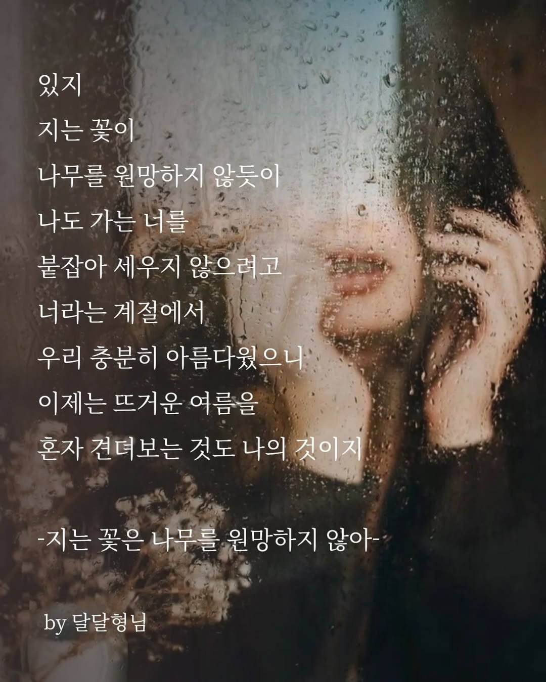 Photo by 달달형님 on April 27, 2026. May be an image of text that says '있지 지는 꽃이 나무를 원망하지 않듯이 나도 가는 너를 붙잡아 세우지 않으려고 너라는 계절에서 우리 충분히 아름다웠으니 이제는 뜨거운 여름을 혼자 견뎌보는 것도 나의 것이지 -지는 꽃은 나무를 원망하지 않아- by 달달형님'.