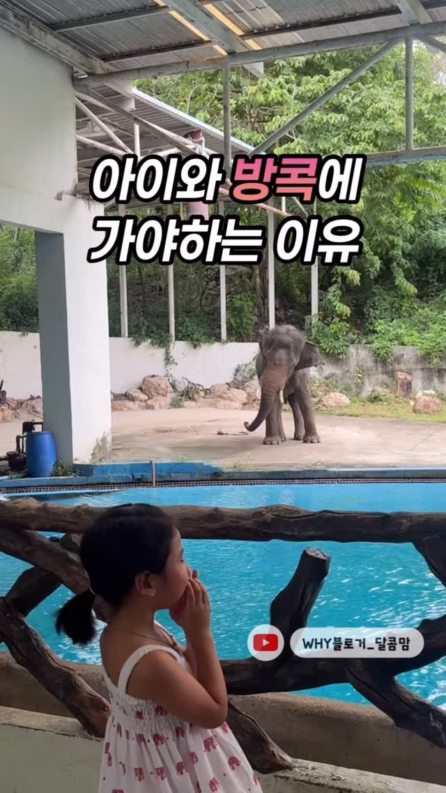 dalkom__mom 게시물 이미지: #태국여행
6월 16일 화요일 10시 방콕 파타야 공구예정✨
💬정보 궁금하신분은...