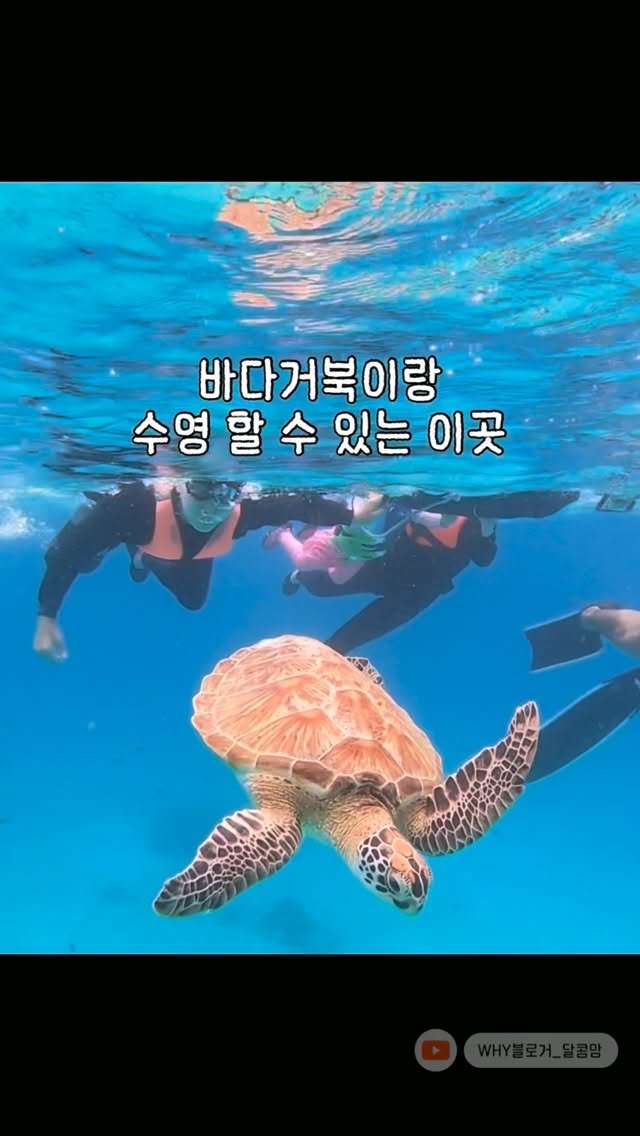 dalkom__mom 게시물 이미지: 🏝️멀고 비싼 몰디브 가지마세요!

💌💌정보 필요하신분은 댓글에 <천국>

우리집에...