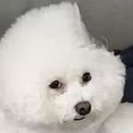 yceot 프로필 사진