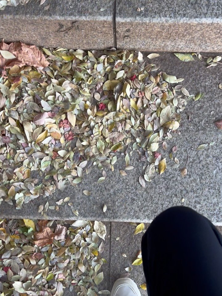 dance_unni 게시물 이미지: 핸드폰이 잘못된 걸 모르고, 
엄마는 “이제 귀가 더 먹었나 보다. 막내딸 목소리도...