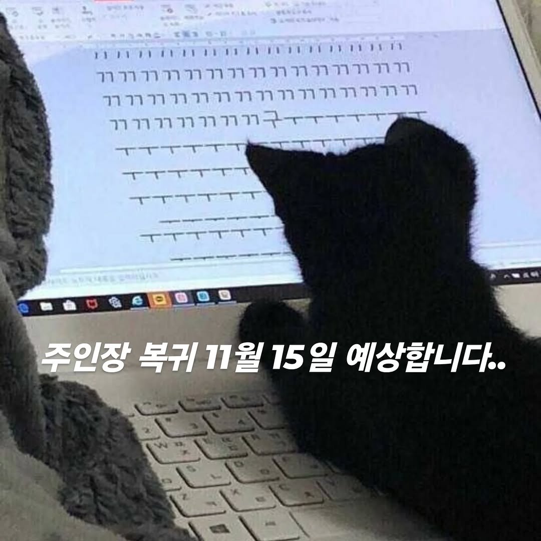 Photo by 히나와 함께 춤을💙 on May 19, 2025.