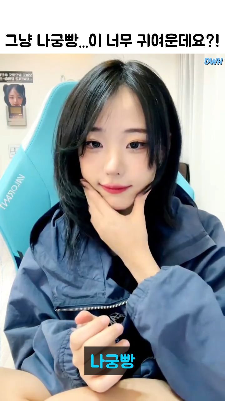 dance_with_hina 게시물 이미지: 초---카와이한 나궁빵.🐱🐱

@i_am_young22 💙

#냥뇽녕냥 #히나...