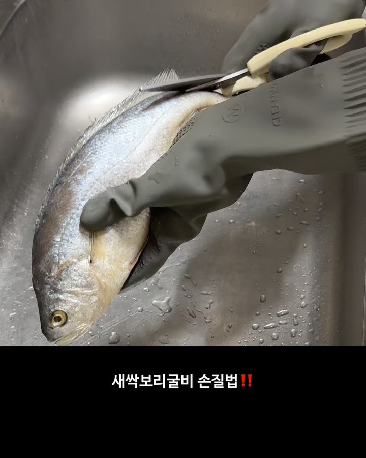 dangdang_unni 게시물 이미지: 새싹보리굴비 손질 & 세척법‼️

1️⃣ 포장 제거 & 상태 확인
 •  진공포장...