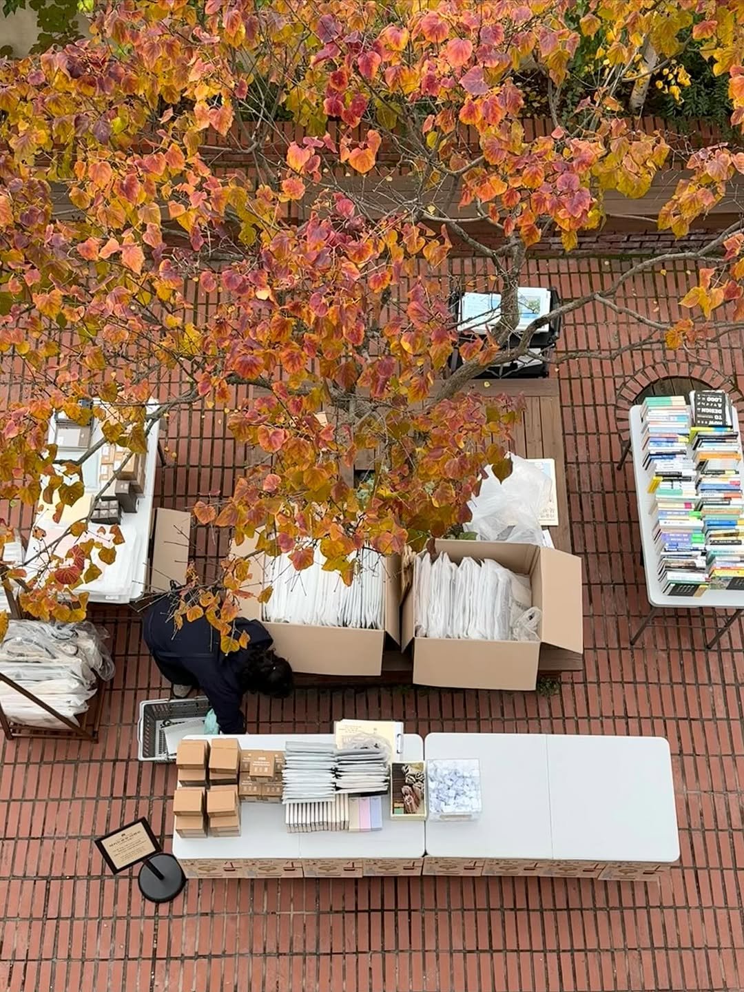 Photo by 당인리책발전소 on November 07, 2025. May be an image of plastic bag, garbage, newspaper, stone-fruit tree, shadbush and text.