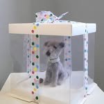 yournameis1126 프로필 사진