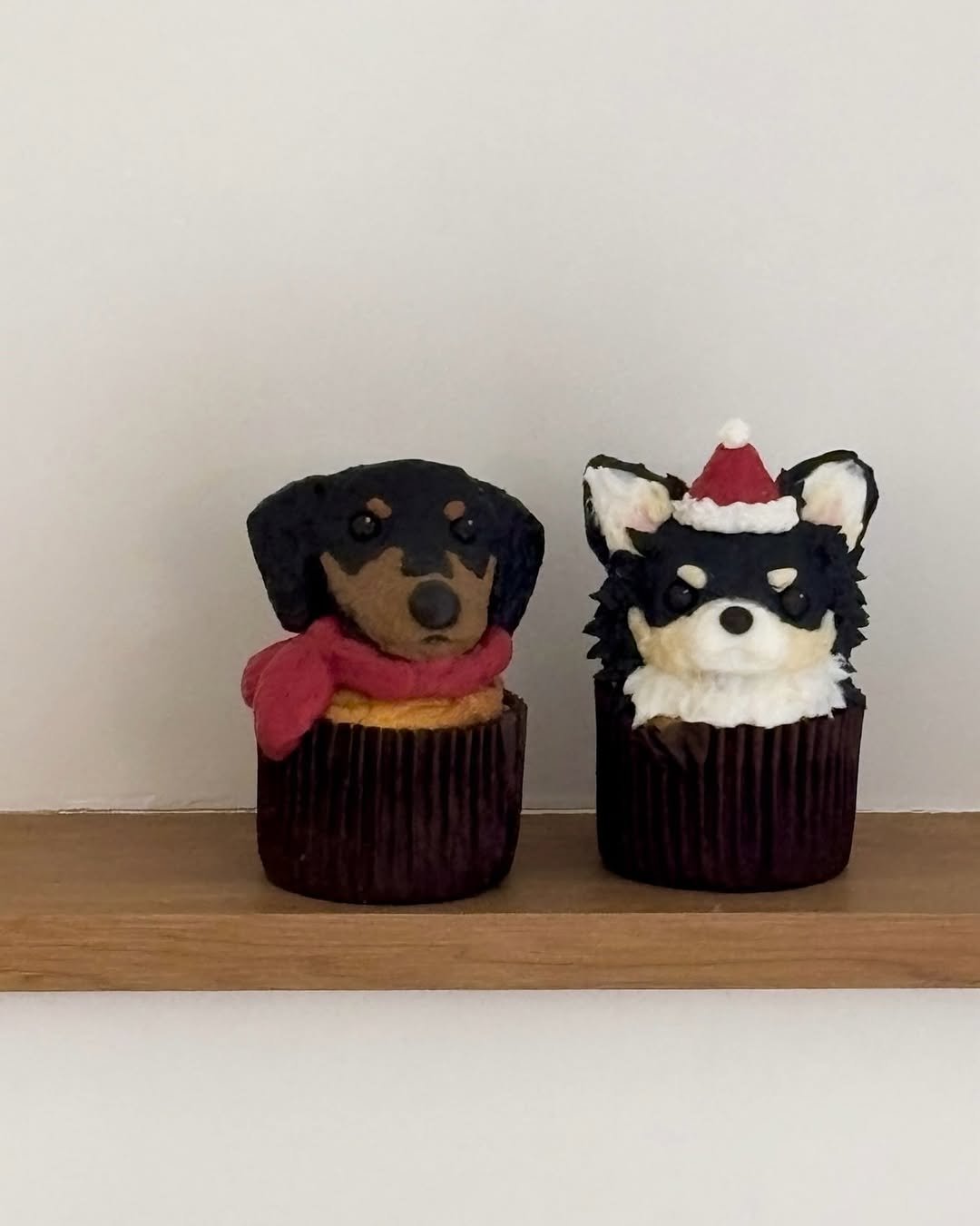 Photo by 부산강아지케이크 강아지케이크클래스 펫푸드창업  | 댕킷 in Busan, South Korea. May be an image of cupcake and text.