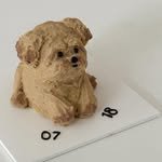 whal.table 프로필 사진