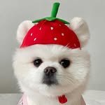 peppy_land 프로필 사진