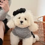 0syong 프로필 사진