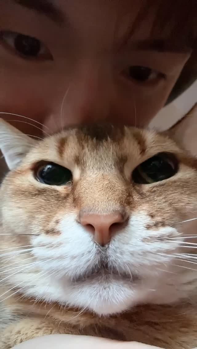 daniel.k.here 게시물 이미지: 