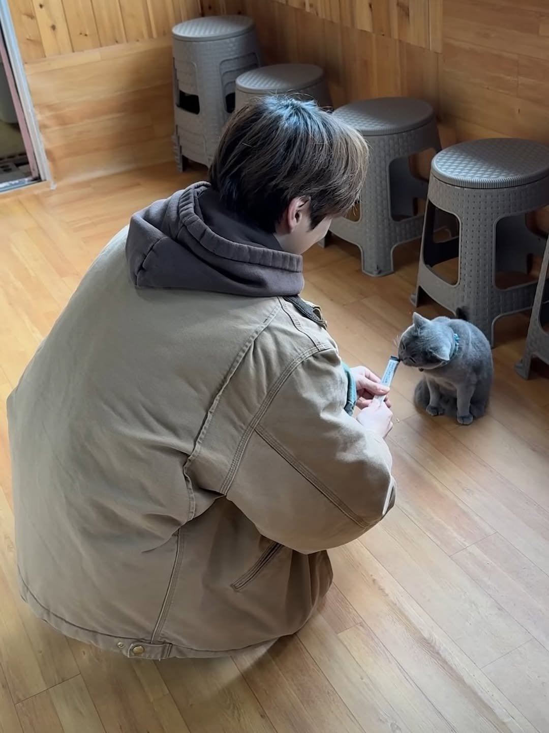 Photo by Daniel Kang on January 16, 2026. May be an image of wallaby, kitten, Bedlington terrier, duffle coat and text.