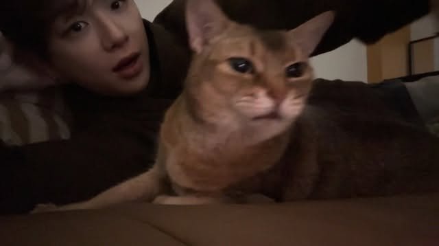 daniel.k.here 게시물 이미지: 