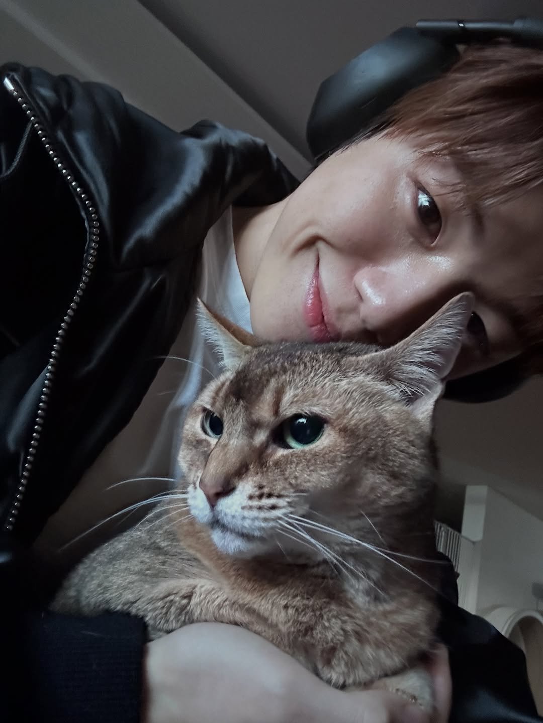 Photo by Daniel Kang on January 29, 2026. May be an image of Abyssinian cat, kitten and text.