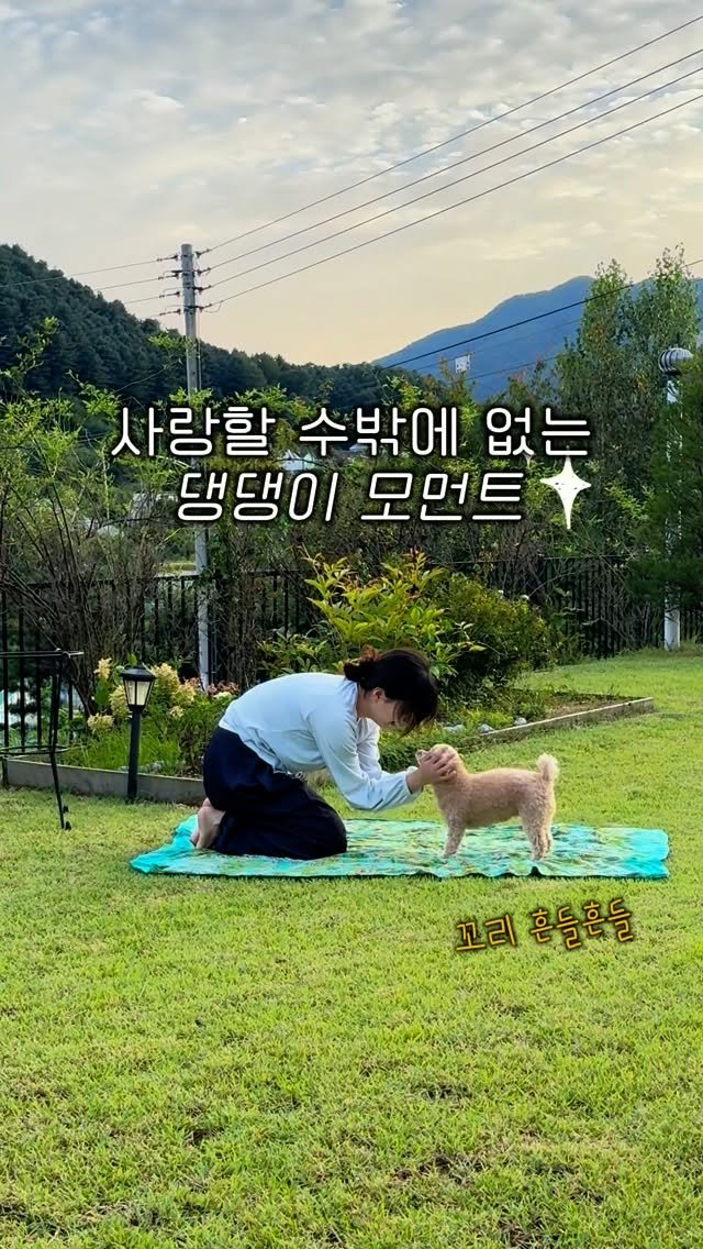 daniiisong 게시물 이미지: 반려견 키우는 요가인들,
저만 이런 거 아니죠?
저희 집 강아지는
이젠 옆에서...