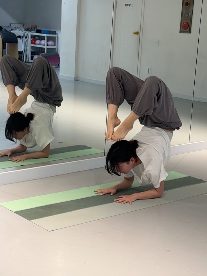 daniiisong 게시물 이미지: 여름의 한가운데를 지나고 있는 요즘,

거의 매일 90분, 120분씩 수련을 하고...