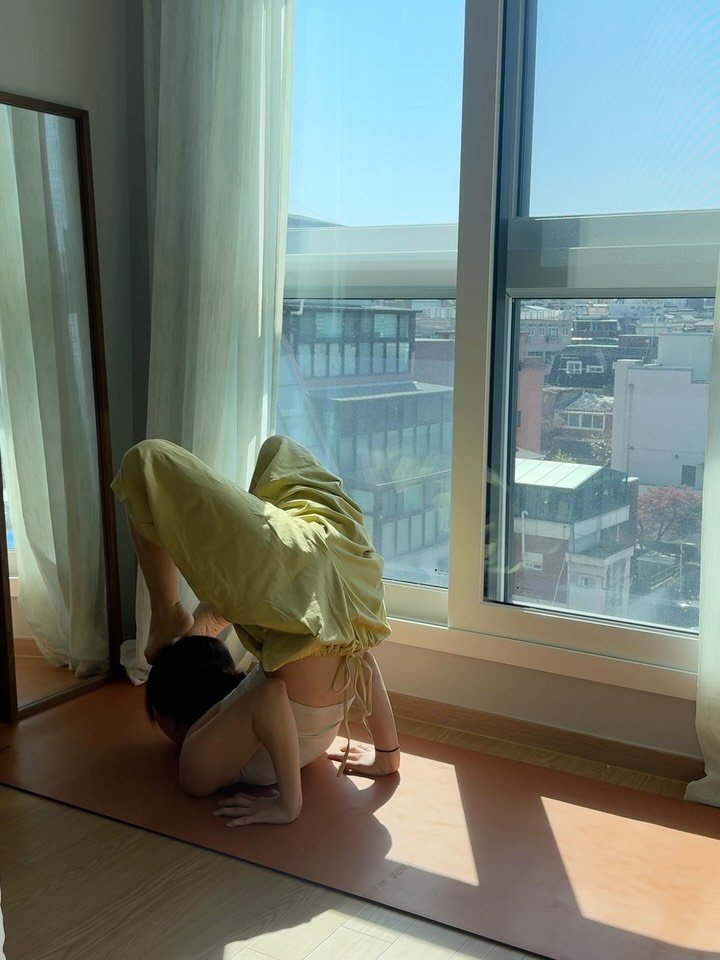 daniiisong 게시물 이미지: 평화롭다•••🕊️

요즘은 그냥 뭐든 이것저것 하면서 움직일 때가
날씨가 풀려서...